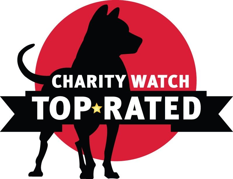 Charity-Watch-woo-valentine