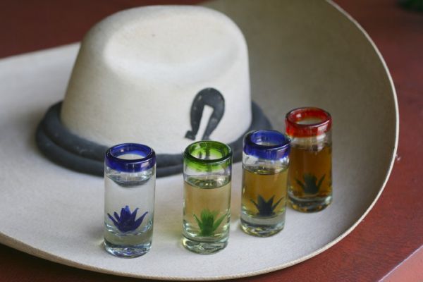 Types of Tequila 