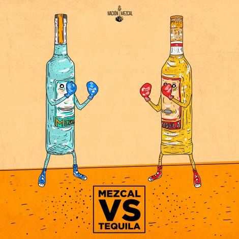 Tequila Vs Mezcal