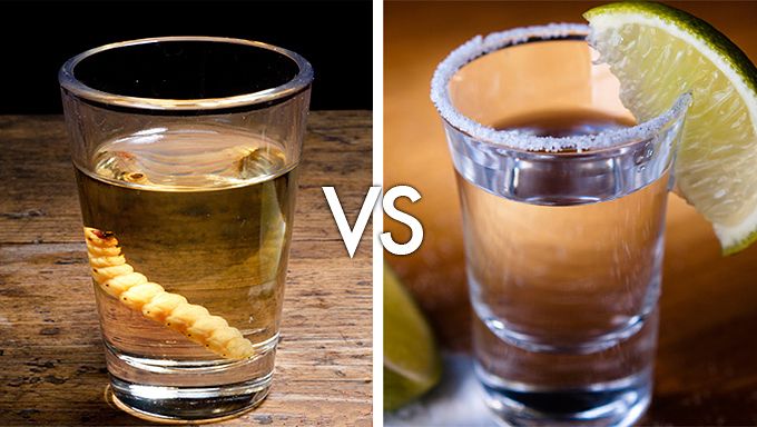 How To Drink Tequila