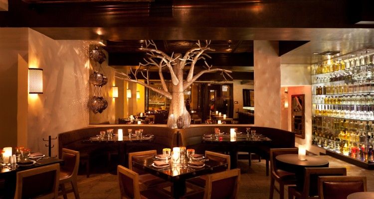 top-tequila-bars-Los-Angeles-tortilla-republic