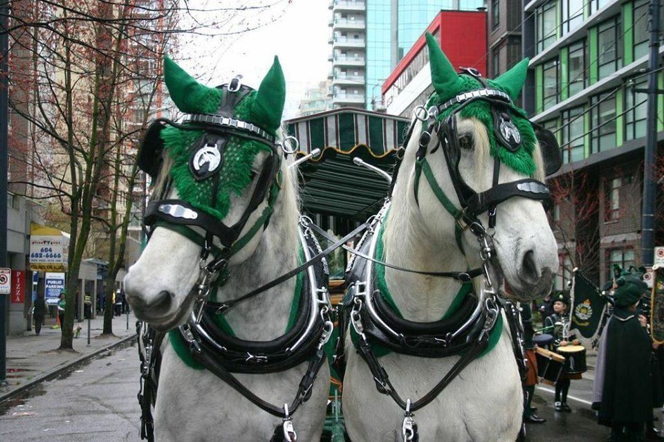 2_St._Patrick’s_Day_CelticFest_Vancouver_Canada