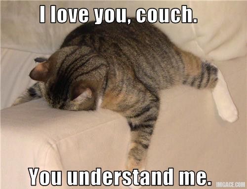 I-love-you-couch-you-understand-me I-love-you-couch-you-understand-me