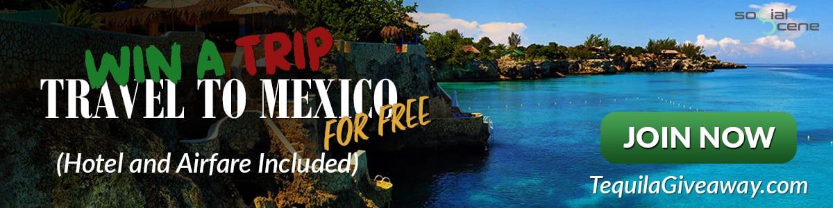 cta trip to mexico 1200x300